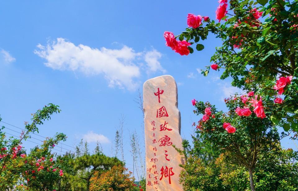 被济南藏起来的平阴县 不只玫瑰，保健品产业的逆袭机会在哪里？